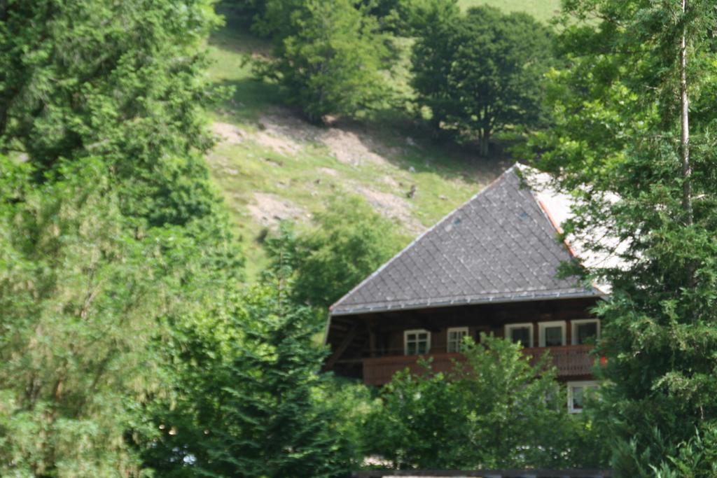 Hotel Gasthaus Hirschen Im Hochschwarzwald Todtnau Nahe Feldberg Экстерьер фото