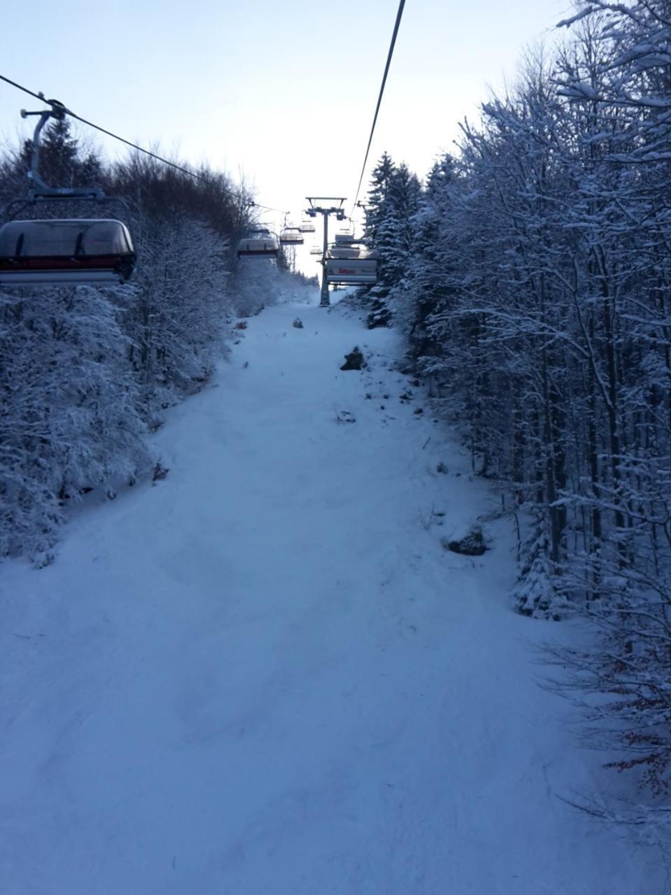 Hotel Gasthaus Hirschen Im Hochschwarzwald Todtnau Nahe Feldberg Экстерьер фото