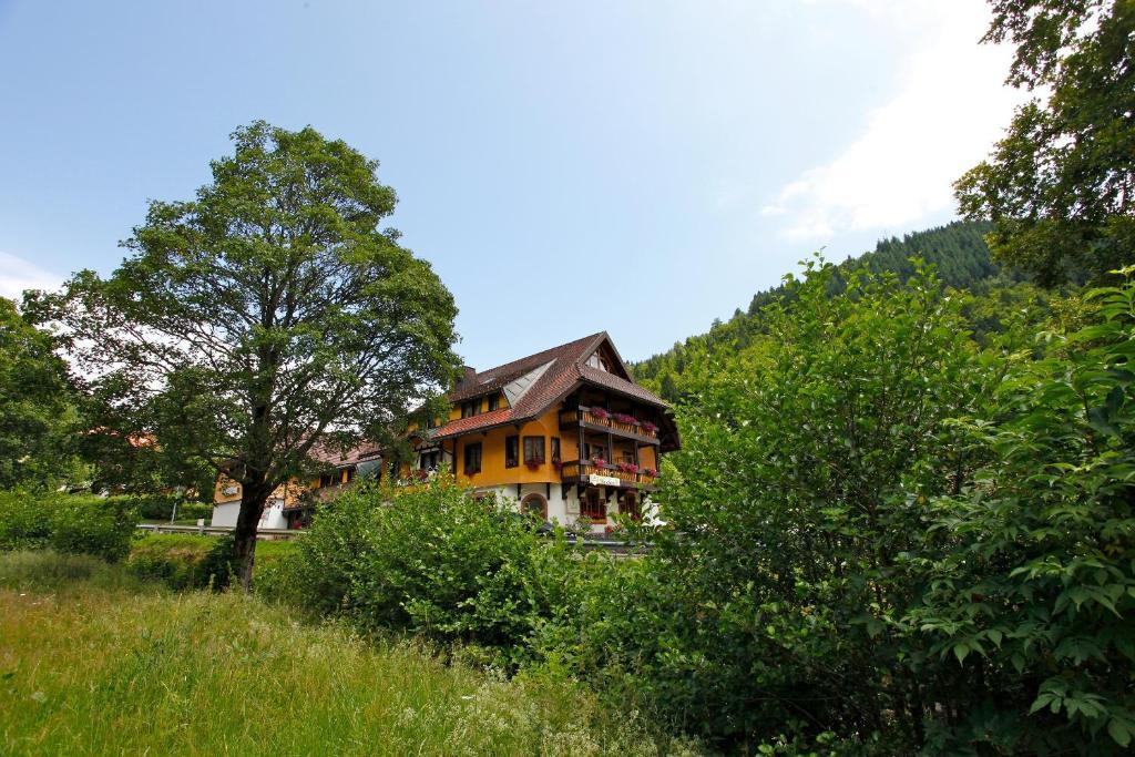 Hotel Gasthaus Hirschen Im Hochschwarzwald Todtnau Nahe Feldberg Экстерьер фото